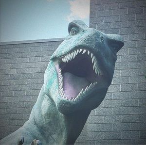 Meet your Posher, Shawna